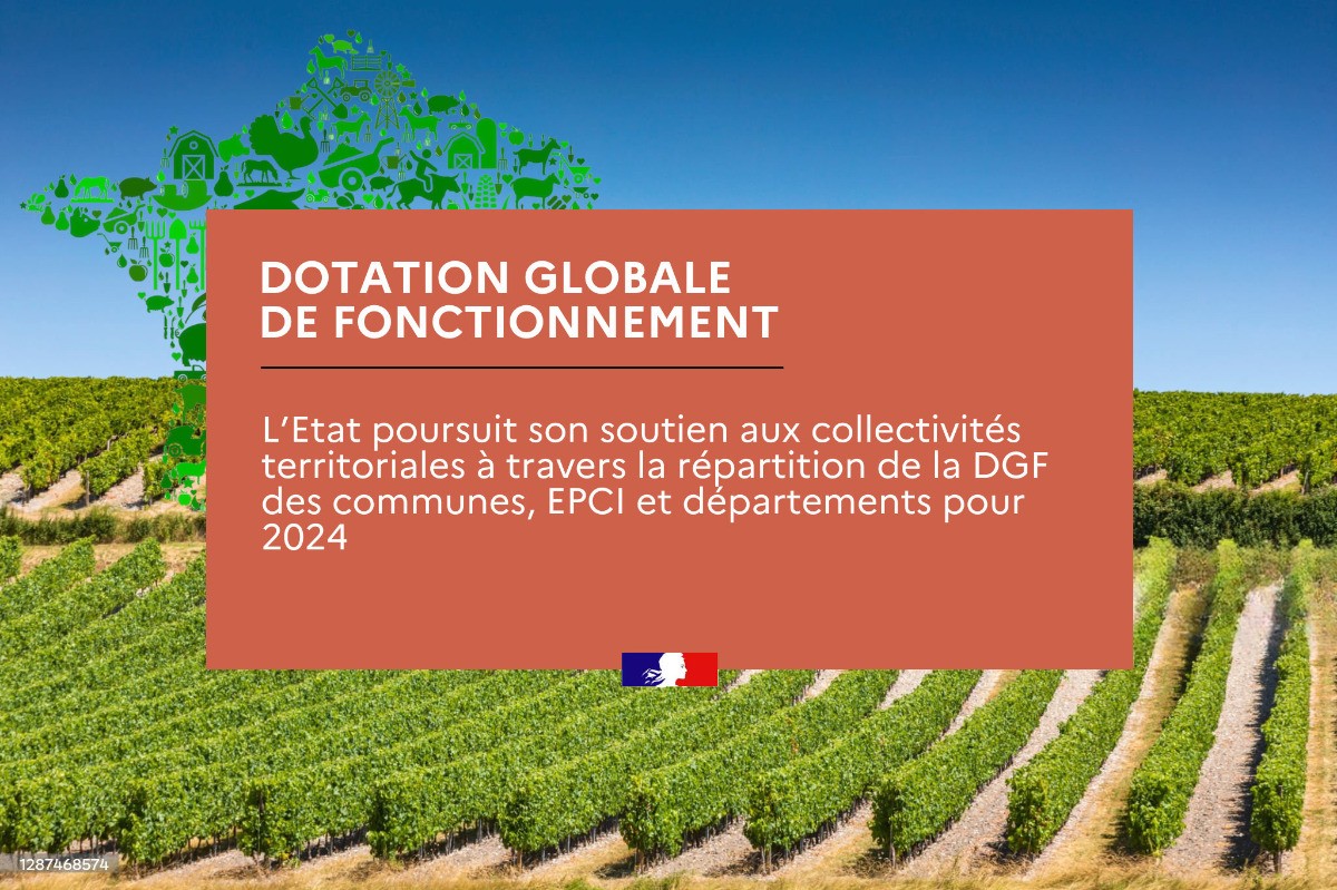 Répartition de la dotation globale de fonctionnement (DGF)