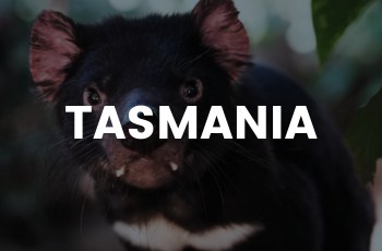 Tasmania SE