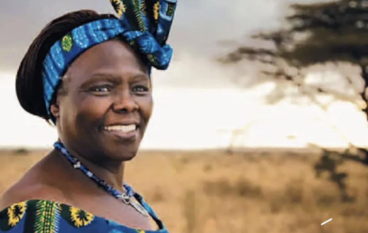 I will be a hummingbird - Wangari Maathai | World Upshift Forum