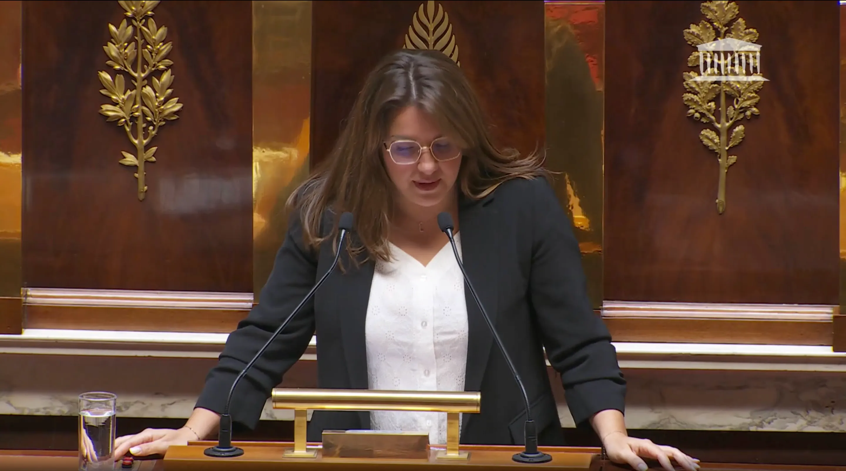 Retrouvez mon intervention en séance publique